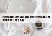 河南蜂巢区块链公司简介电话[河南蜂巢人力资源有限公司怎么样]