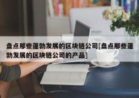 盘点那些蓬勃发展的区块链公司[盘点那些蓬勃发展的区块链公司的产品]