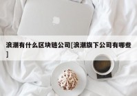 浪潮有什么区块链公司[浪潮旗下公司有哪些]