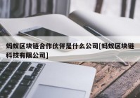 蚂蚁区块链合作伙伴是什么公司[蚂蚁区块链科技有限公司]