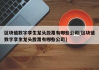 区块链数字孪生龙头股票有哪些公司[区块链数字孪生龙头股票有哪些公司]