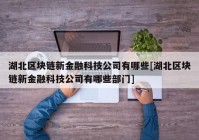 湖北区块链新金融科技公司有哪些[湖北区块链新金融科技公司有哪些部门]